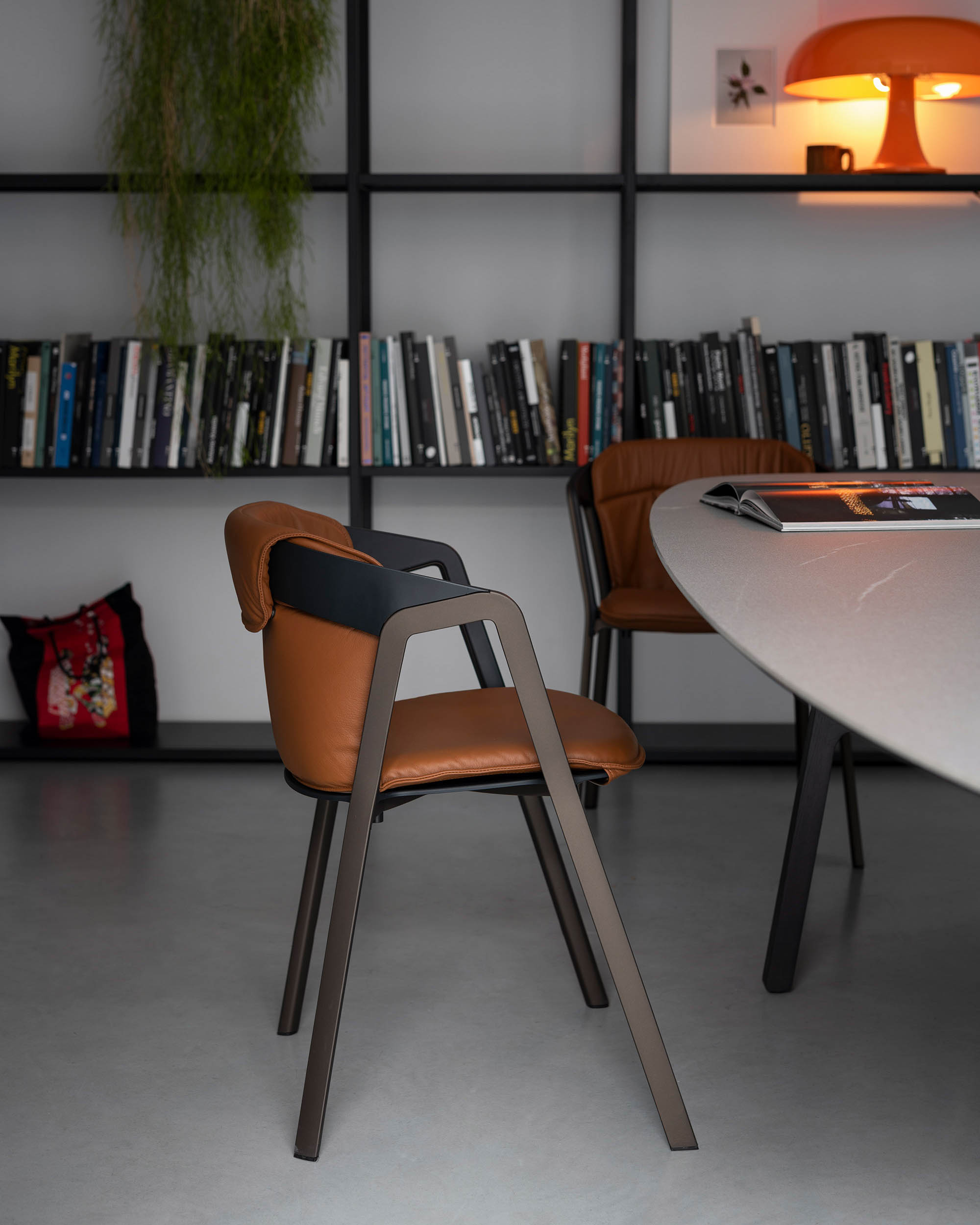 Compas sedia indoor/outdoor