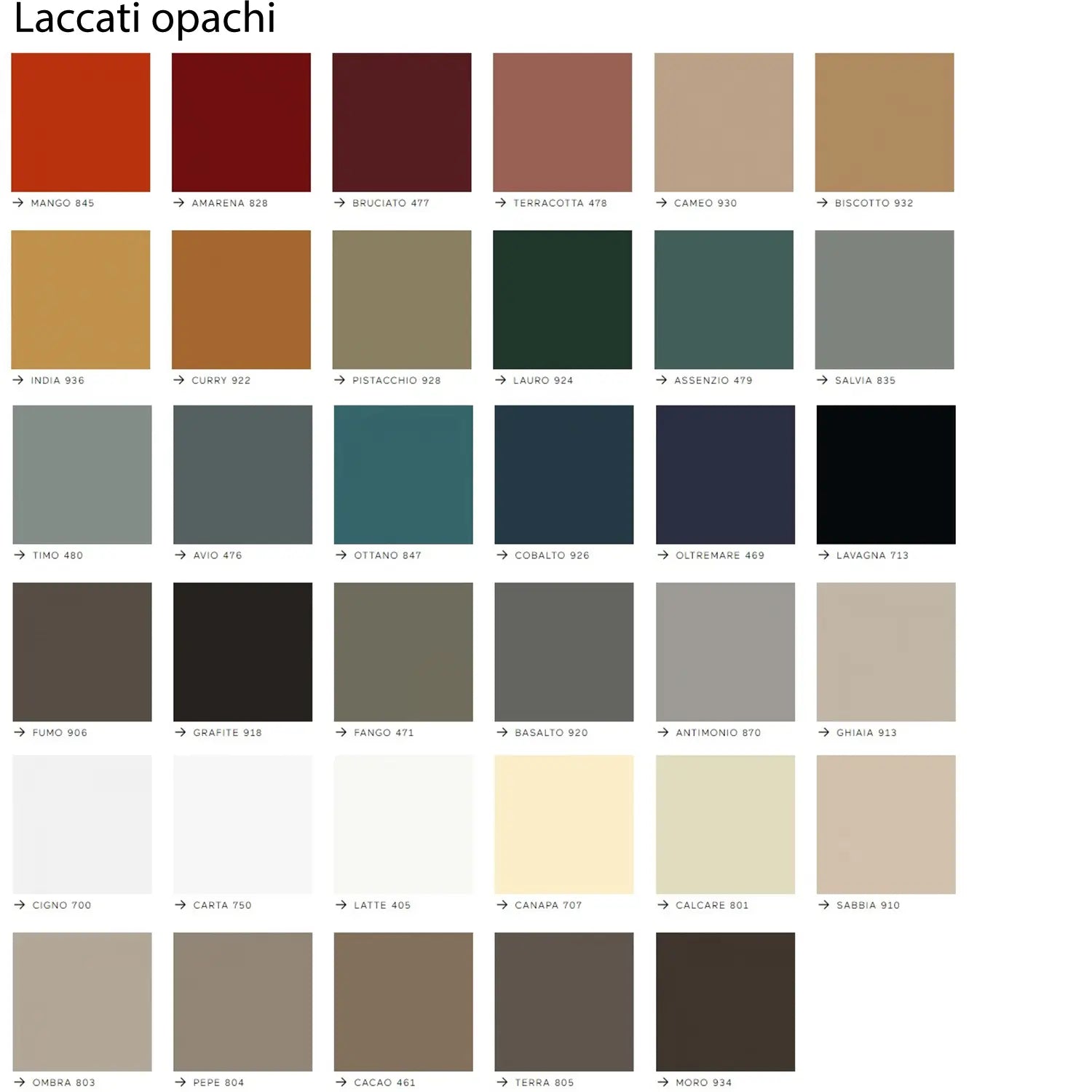 Ortelia madia laccatura opaca