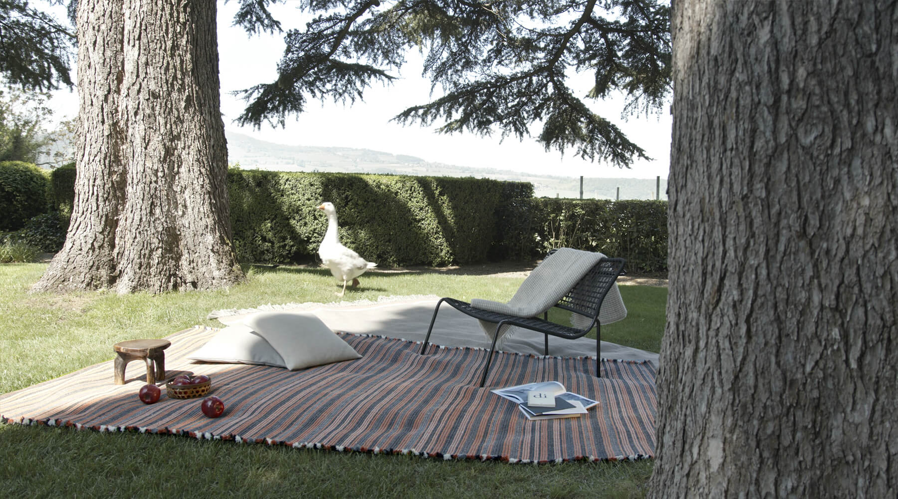 Prune tappeto indoor/outdoor