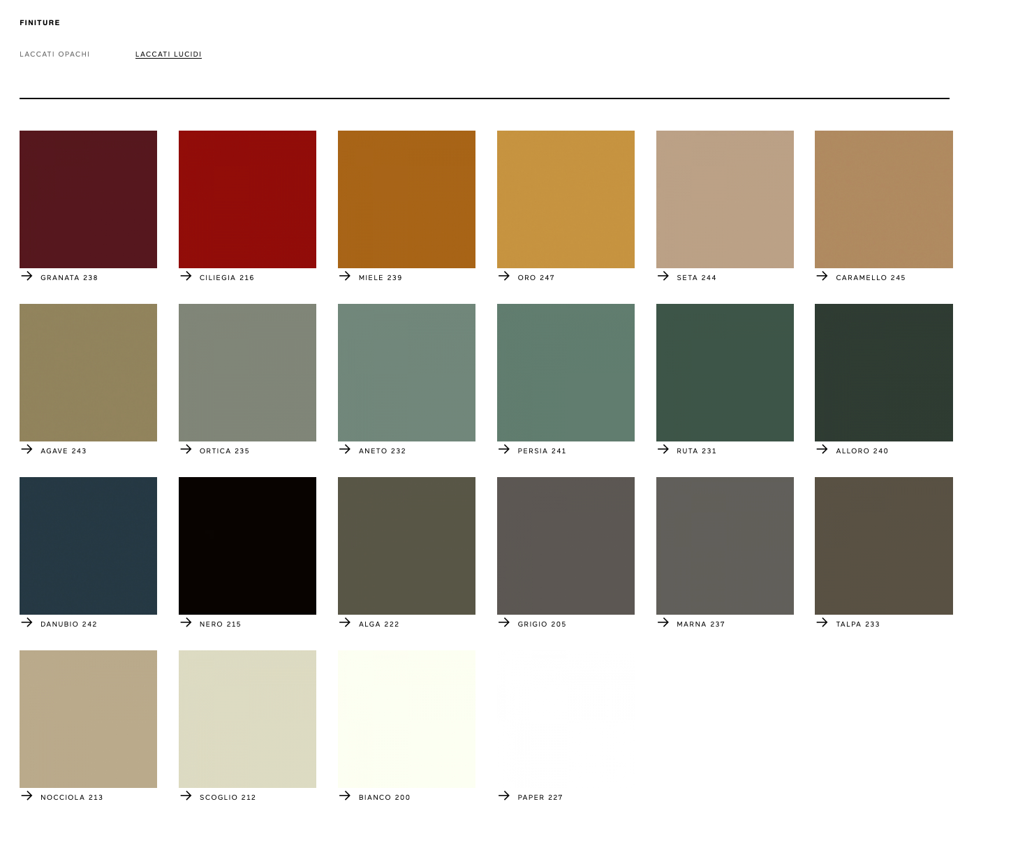 Ortelia madia laccatura lucida