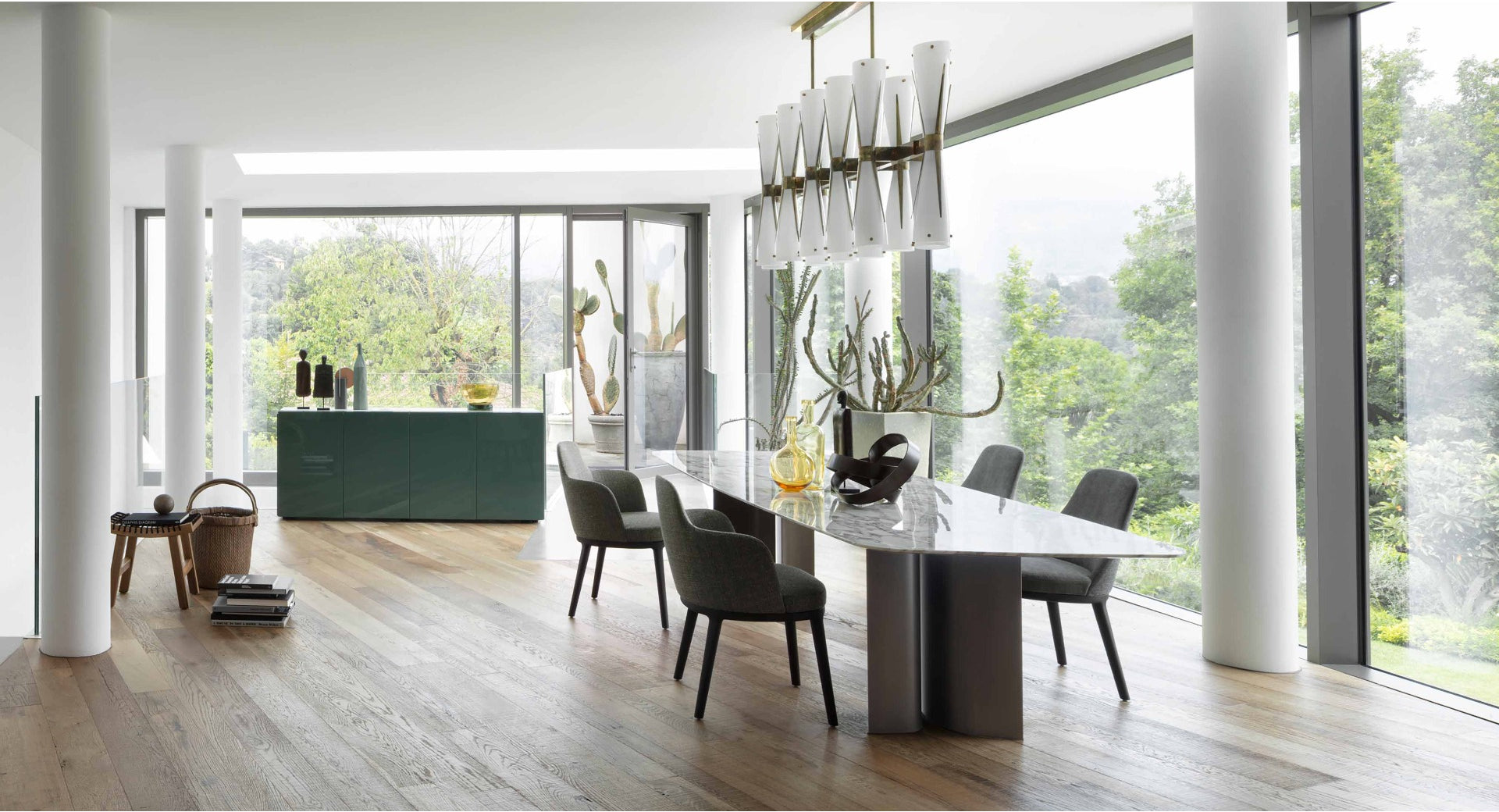 Florens madia laccata opaca