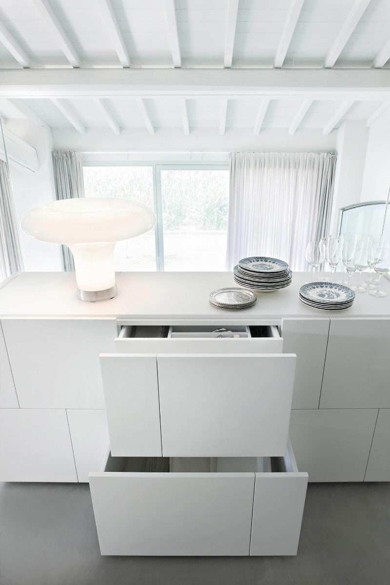 Ortelia madia laccatura opaca