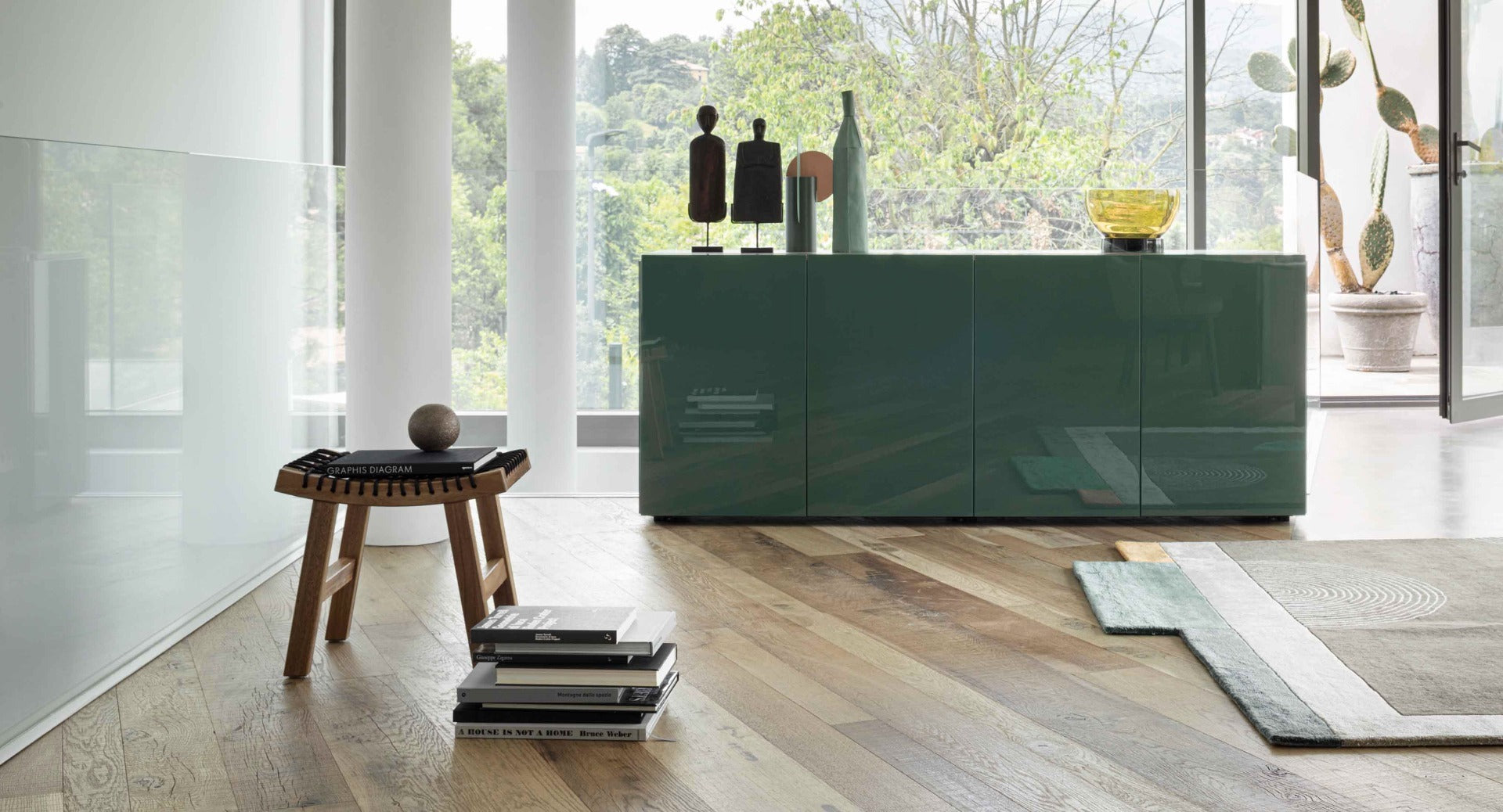 Florens madia laccata opaca